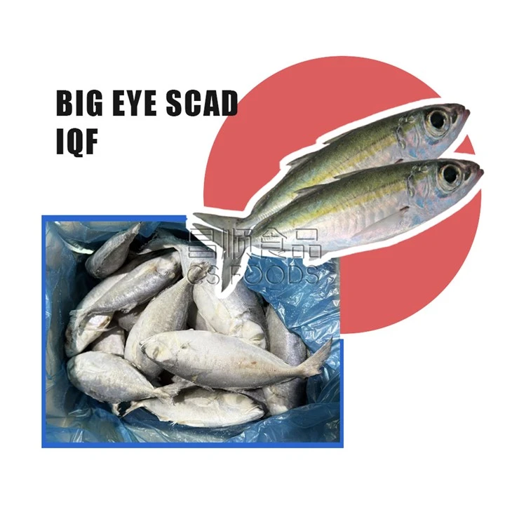 A IQF Big Eye Scad